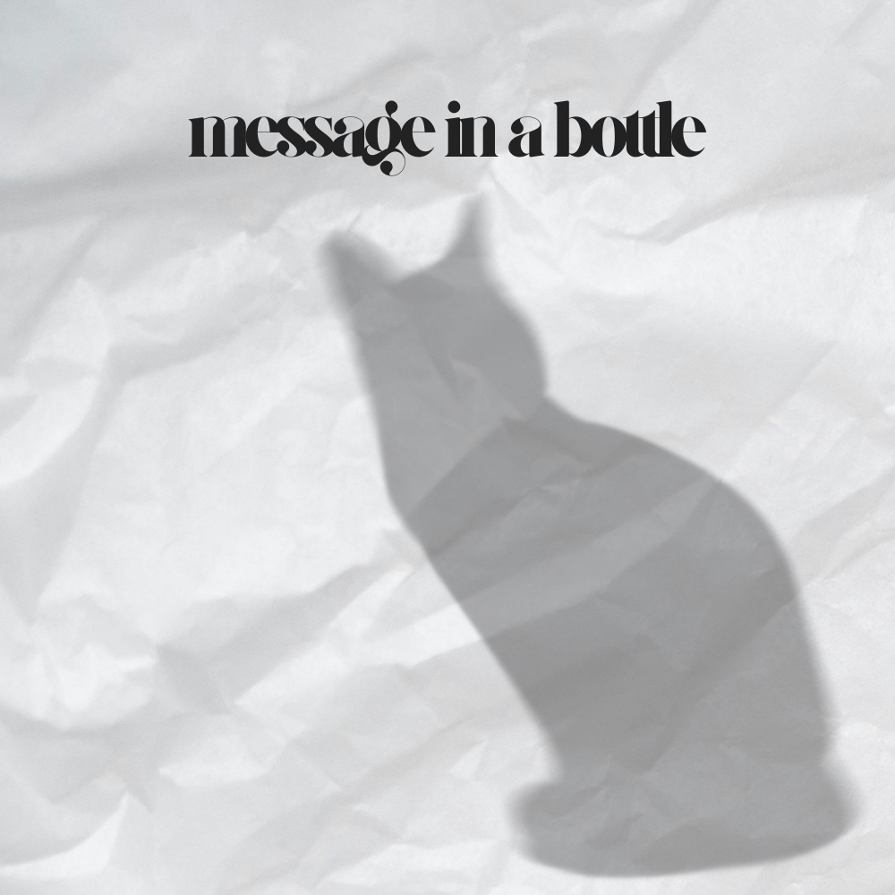 message in a bottle